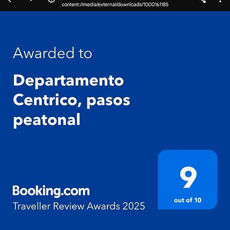 Апартаменты Departamento Centrico, Pasos Peatonal Мендоса Экстерьер фото