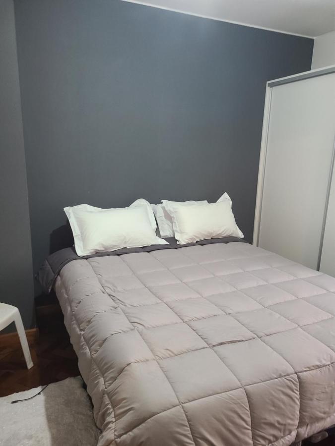 Апартаменты Departamento Centrico, Pasos Peatonal Мендоса Экстерьер фото